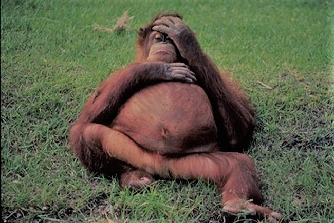 Фотографии взяты с просторов интернета