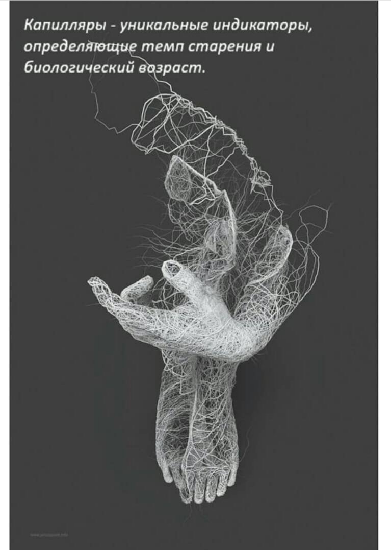 Из открытых источников