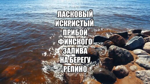 Весёлый хрустальный прибой Балтийского моря — Финский залив в Репино, Санкт-Петербург