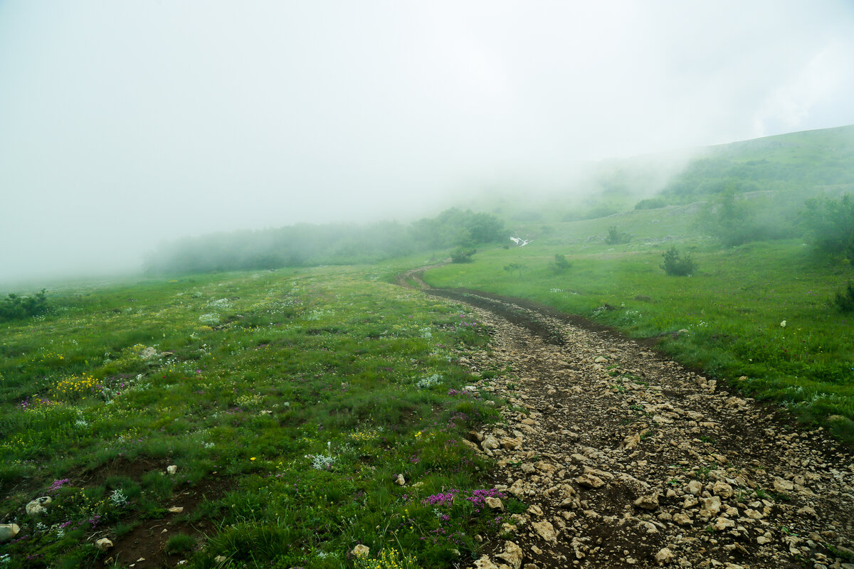Так себе погодка, прямо скажем