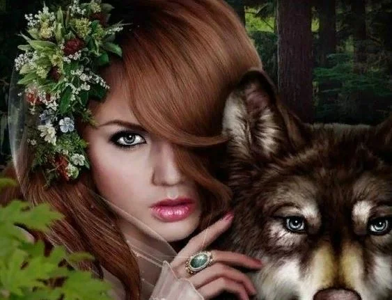 Иллюстрация из открытого доступа