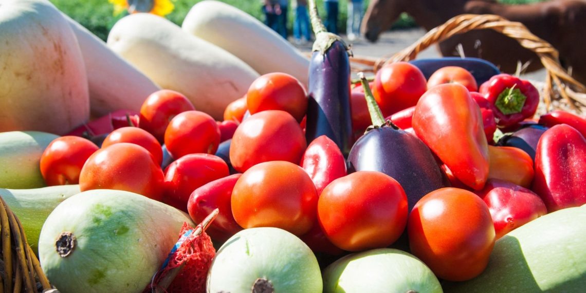 © Фото: ИД «Волгоградская правда» / Сергей Григоренко.