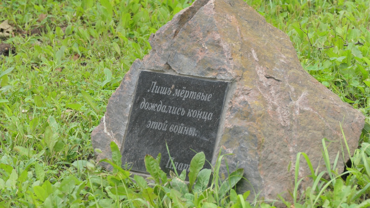 f 6.3  iso-400  1\80с  265мм.