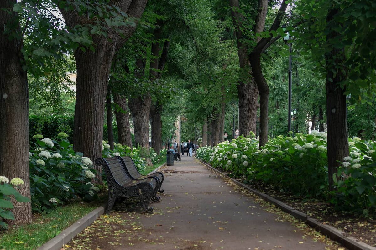 Парки города москвы фото Жить в Москве: Хамовники Элитная недвижимость от А до Я Дзен