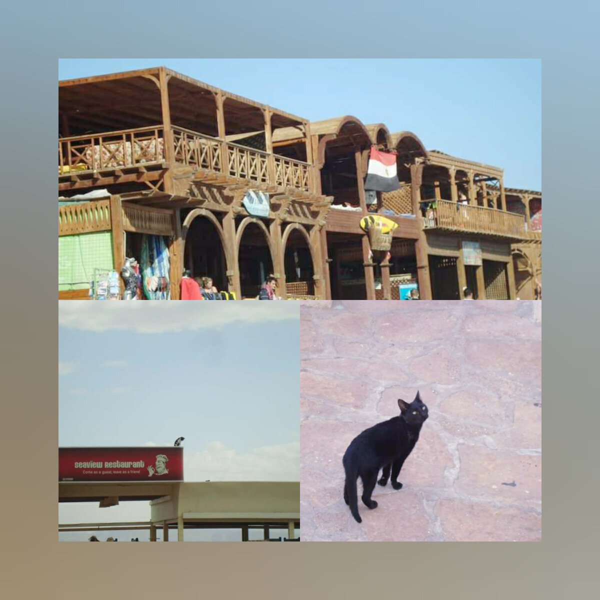 Фото любезно предоставлены рассказчицей этой истории.