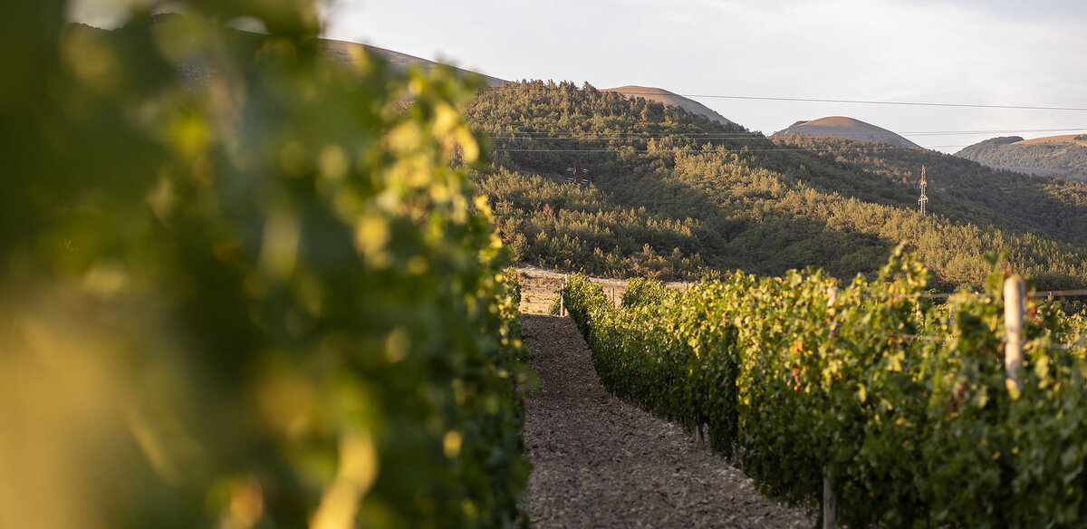 © Игорь Родин.