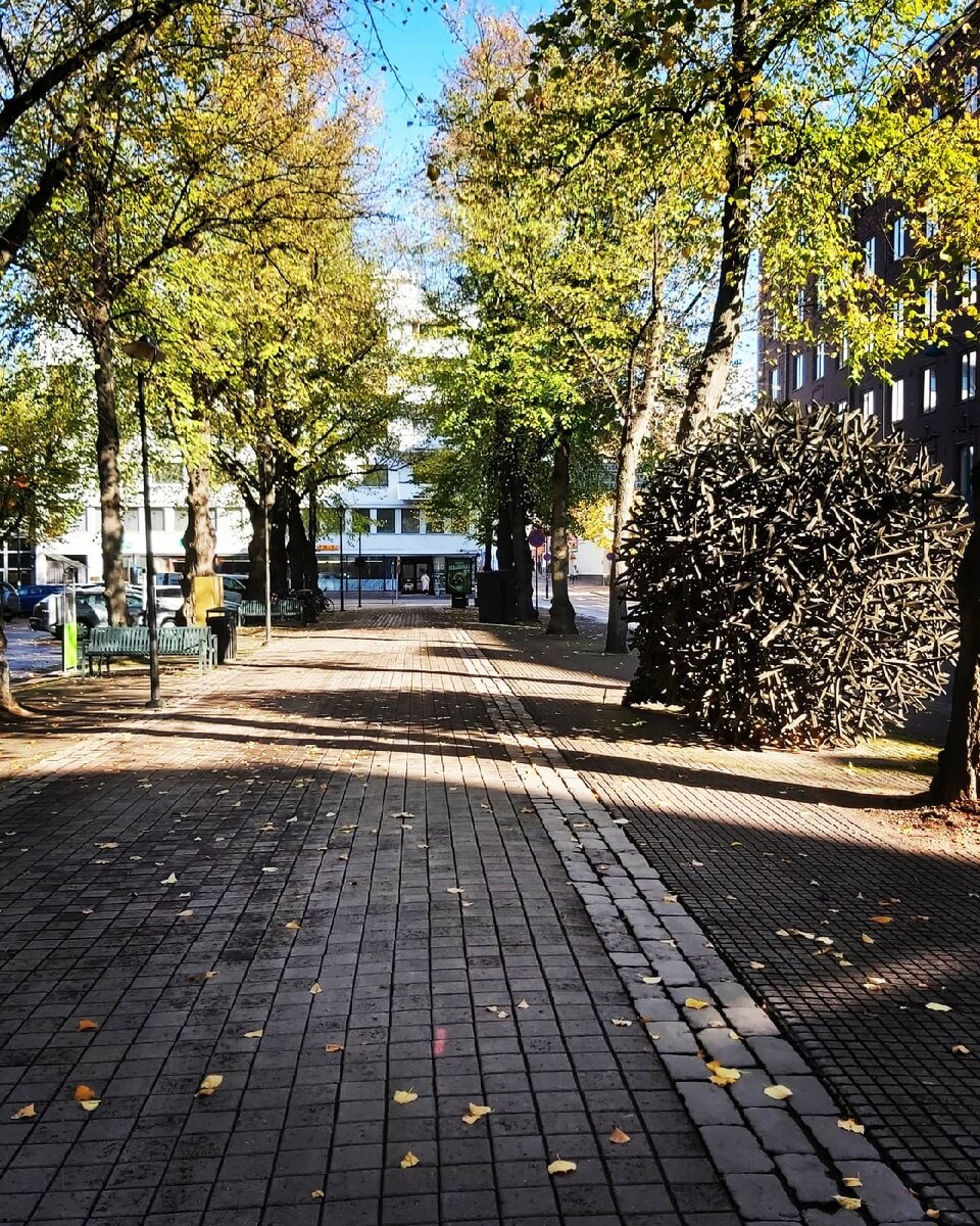 Фото из города