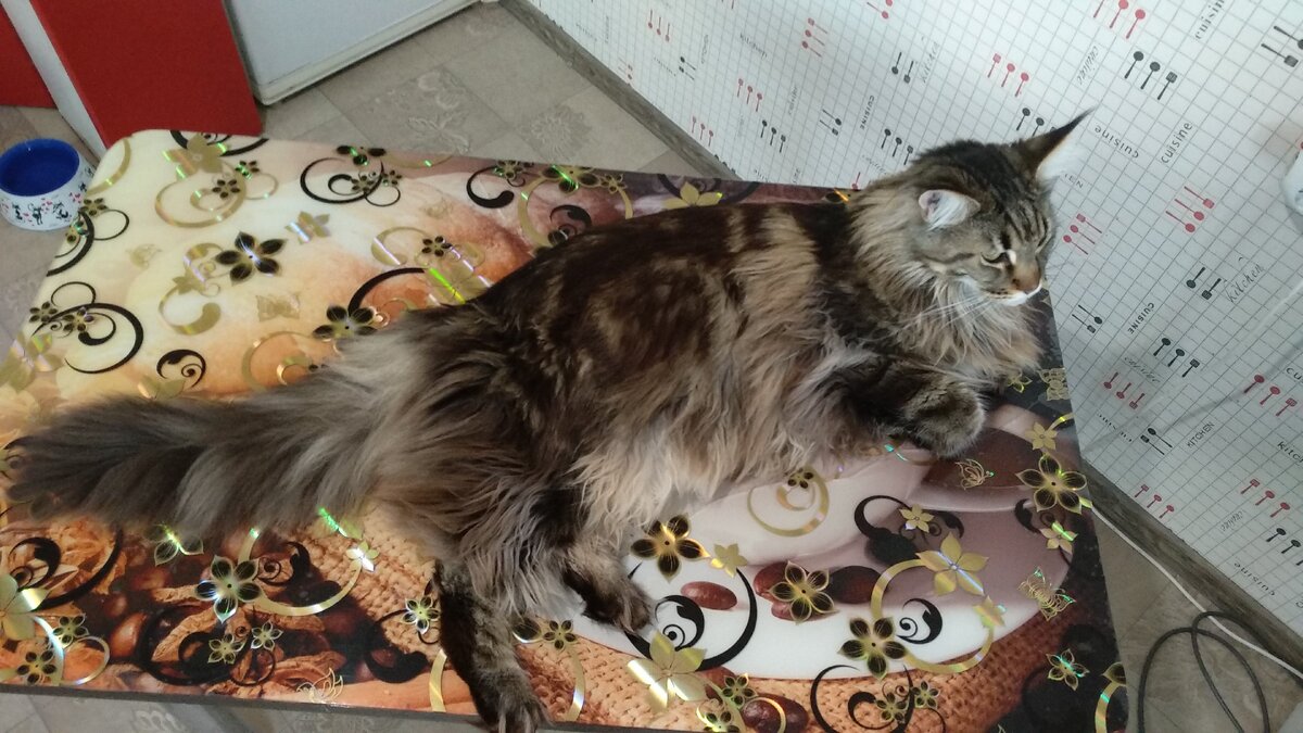 Мартин готовится к съемкам