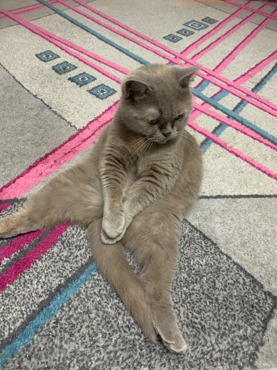 Посмотри на это и ещё скажи что не согласен!!!