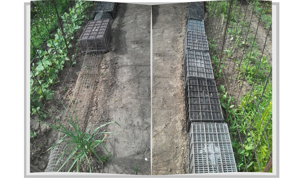 посеяли огурцы и накрыли