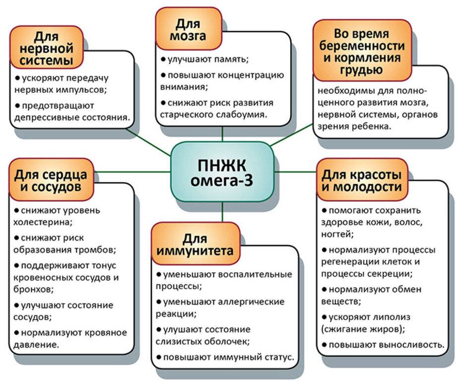 Фото взято из открытого источника