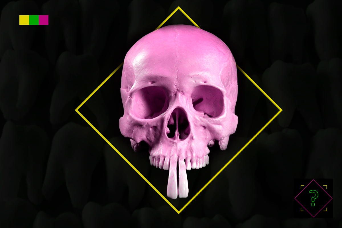 Подпишитесь на канал, чтобы не пропустить ничего интересного😀