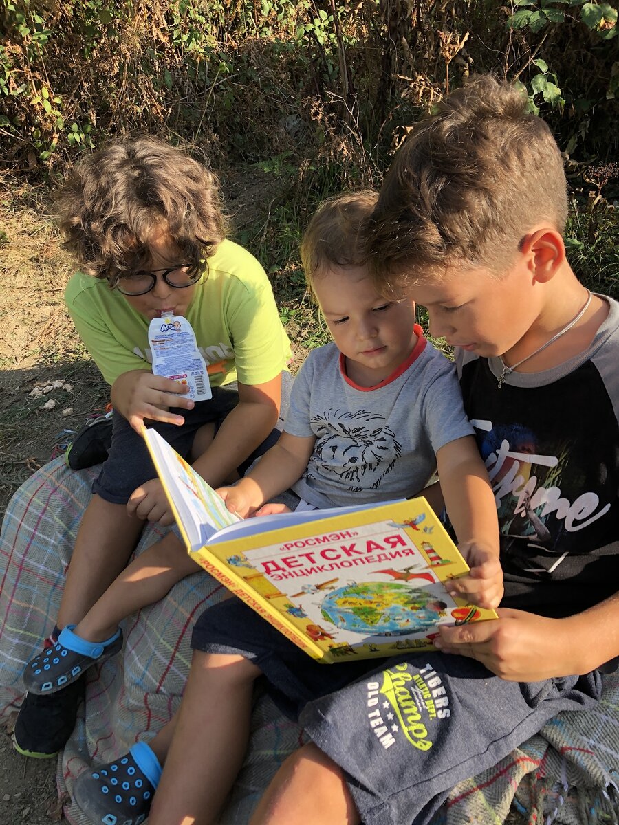 Вот и они. Гоша, Миша, Яша 