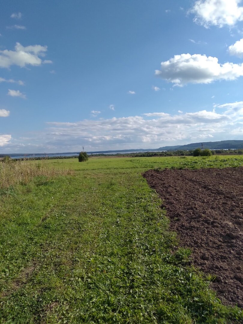 ПОЛЕ, РУССКОЕ ПОЛЕ!