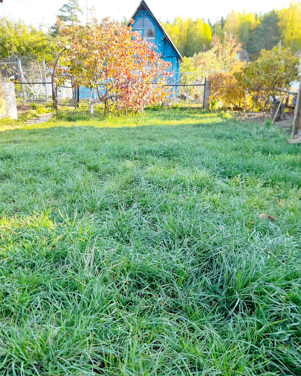 "Доброе утро, мир! Ты прекрасен!" Фото автора