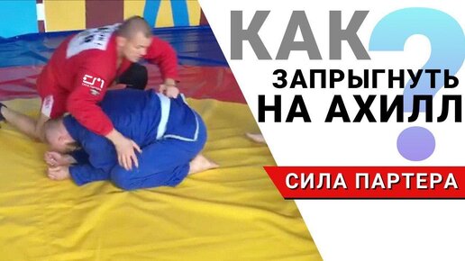 Сила партера. Ахилл прием в самбо. Ущемление Ахилла БЖЖ. Картина ущемление Ахилла джиу-джитсу. Намазов Ахилл Эдгарович