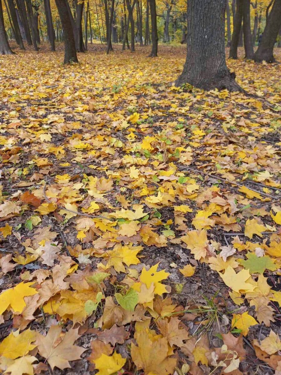 Фото автора.