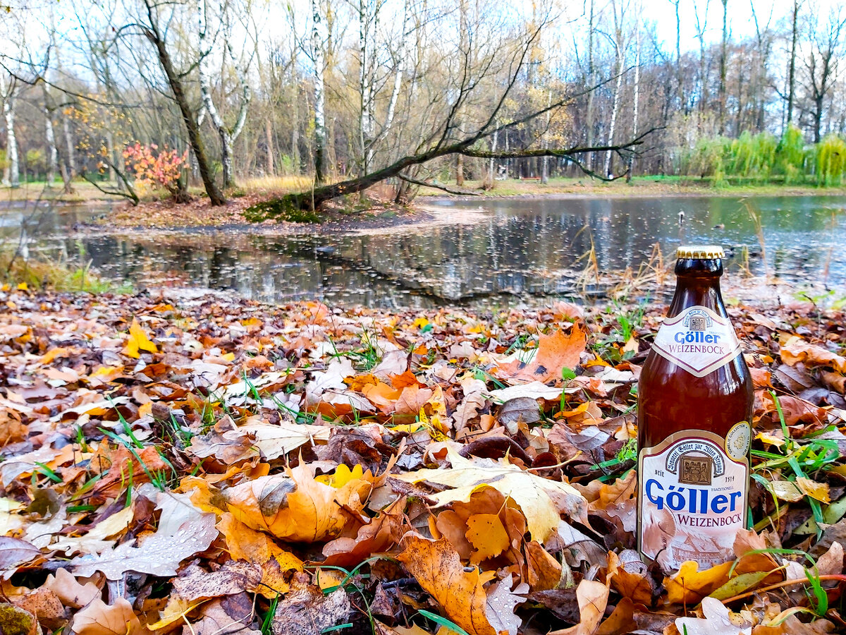 Goller Weizenbock, фото автора