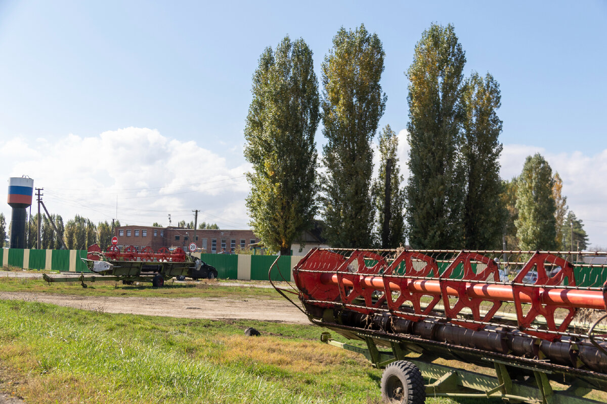 Село Михайловское - единственное место Северского района, где в буквальном  смысле, можно достойно провести оставшиеся годы | Южная жизнь | Дзен