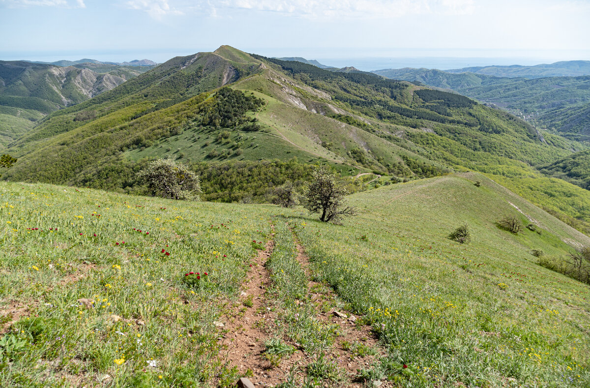 2. С самого верхнего участка тропы просматривается весь дальнейший маршрут похода до вершины Сасыхан-тепеси, Однако по мере спуска многие части хребта, который мне предстояло пройти, постепенно терялись из виду.