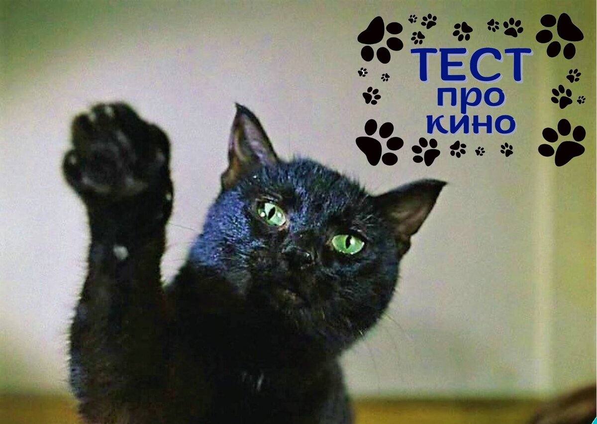 скриншот фильма, коллаж автора публикации