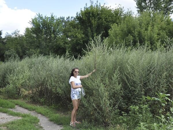 Фото из интернета- общий доступ.