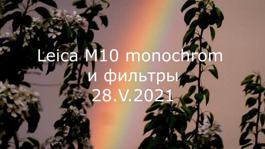 С.В. Савельев. Leica M10 monochrom и фильтры - [20210528]