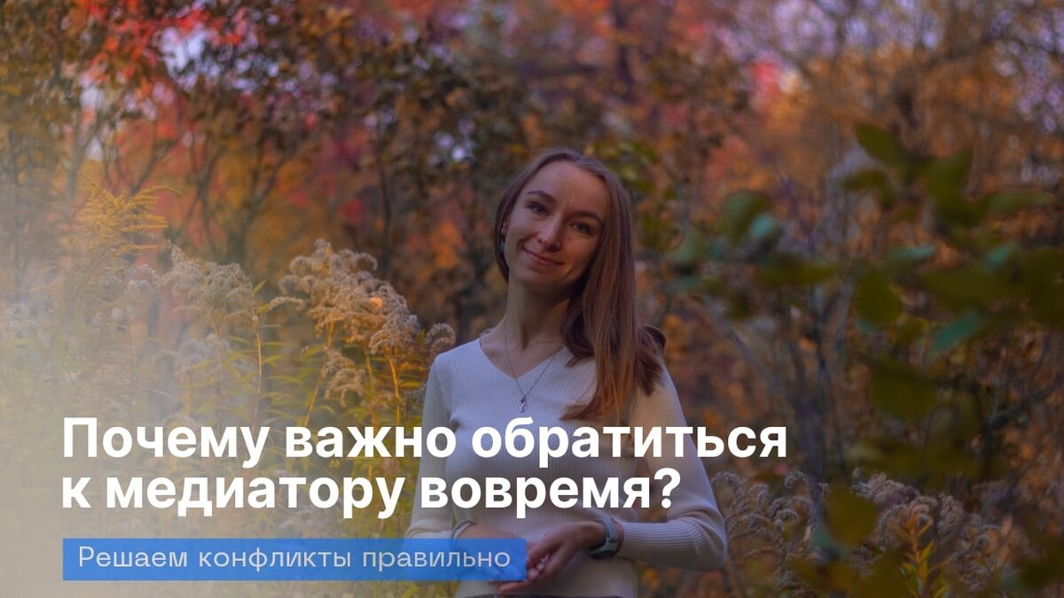 © профессиональный медиатор Ионина Елизавета