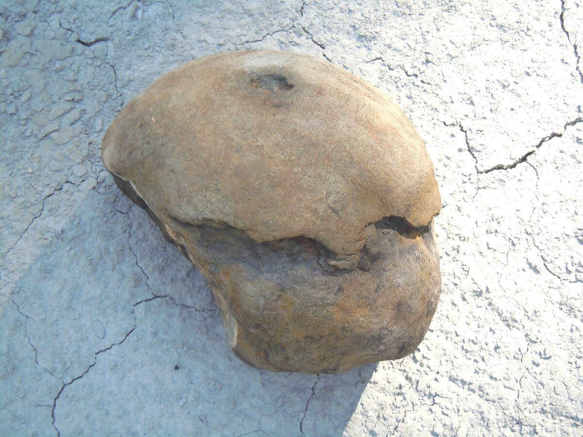 Шар с реки Фарс