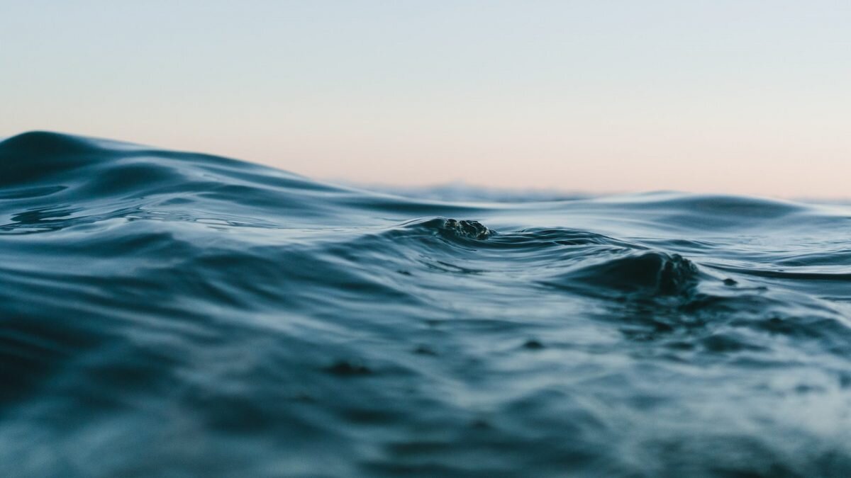    Фото: unsplash.com. Анатолий Пак