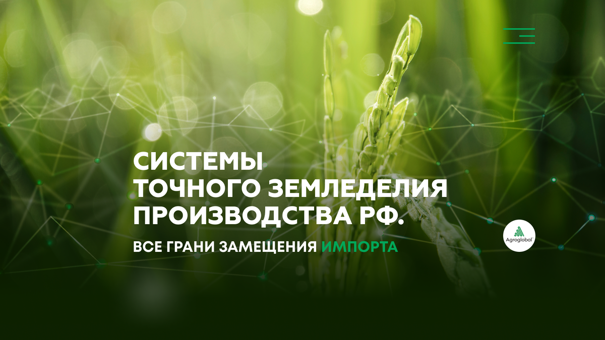 Дальновидные предприниматели приступили к импортозамещению несколько лет назад и сегодня радуют потребителей в России и ближнем зарубежье качественными отечественными аналогами