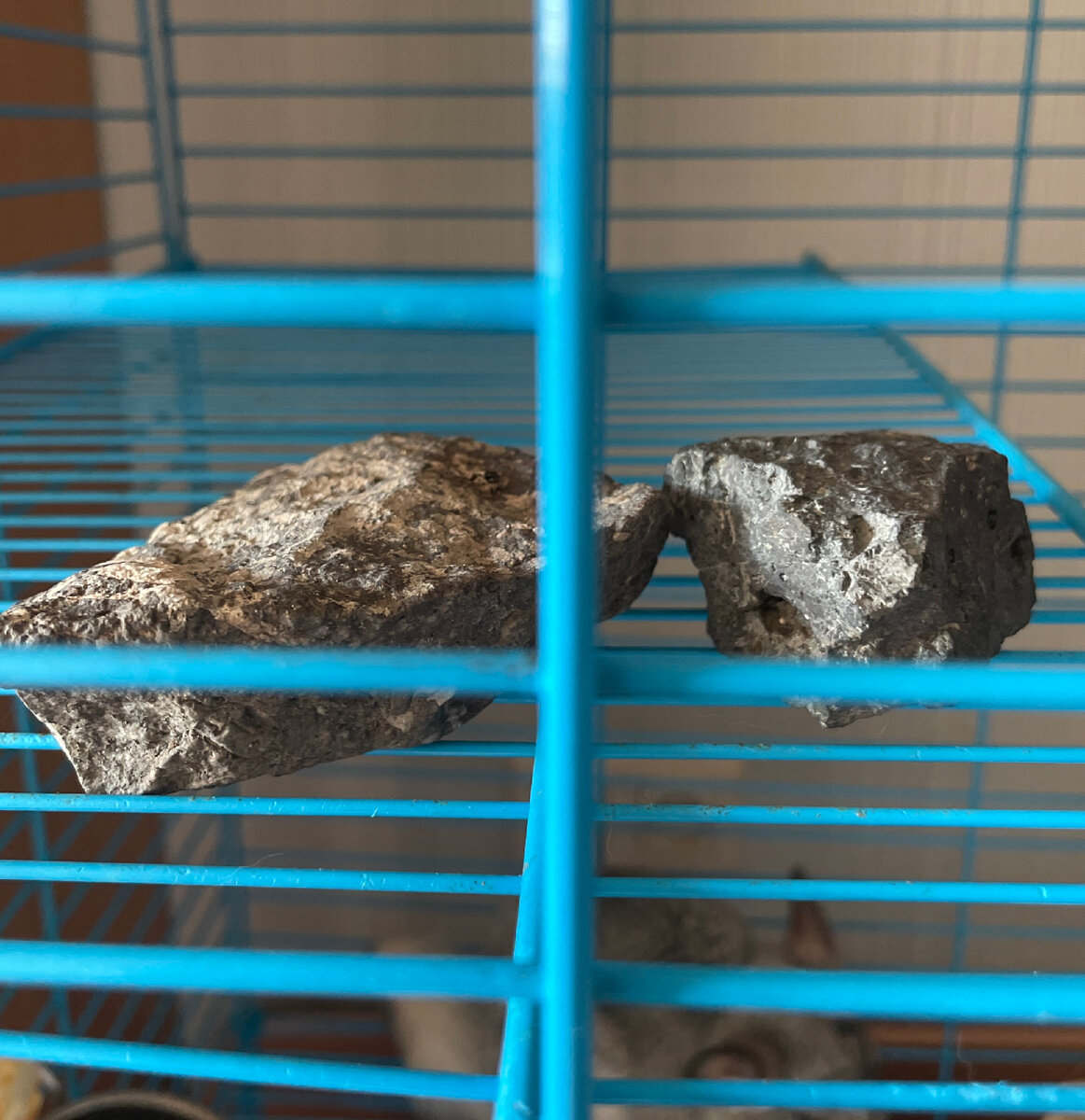 Личный архив