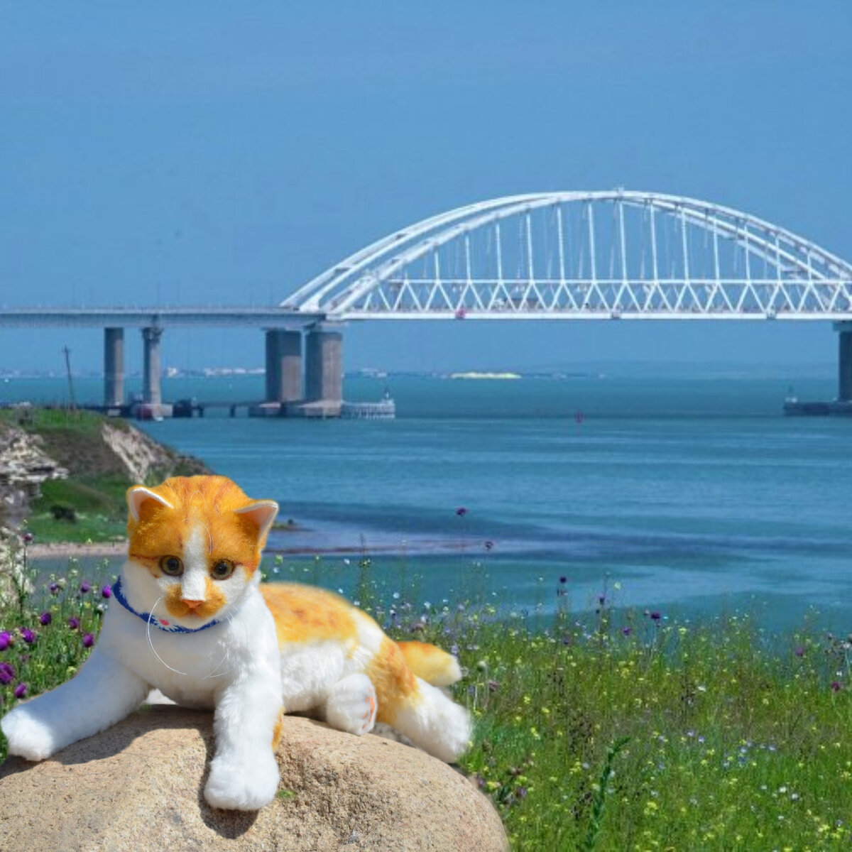 Похож, правда?