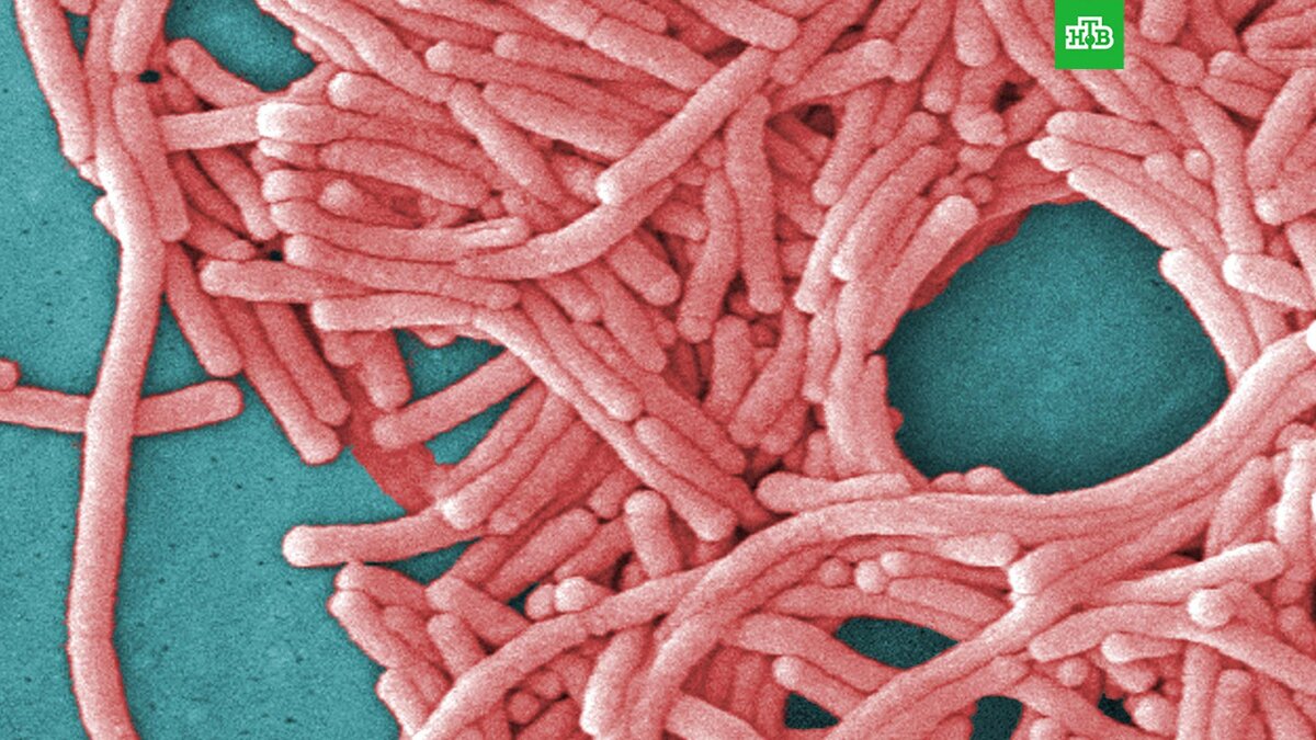    Фото: Associated Press © 2023, Janice Haney Carr