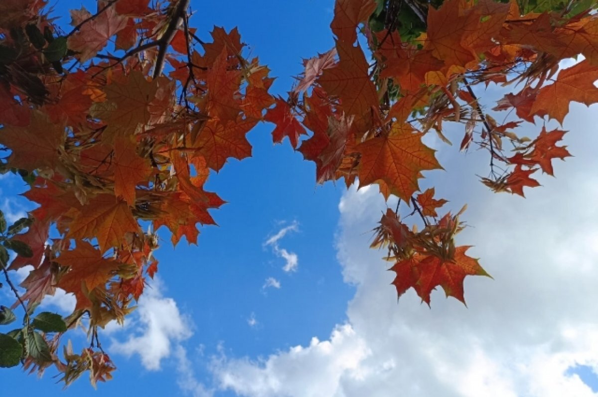    На Южный Урал пришло бабье лето