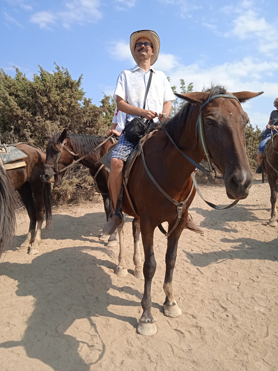 Оседлал гнедого коня,10 августа 2023г.