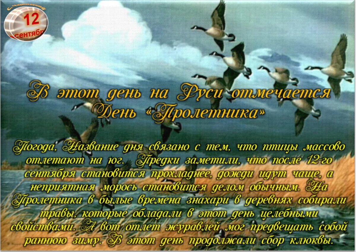 Встречаем новый день