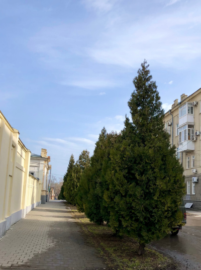 Таганрог, улица Петровская. Собственное фото автора