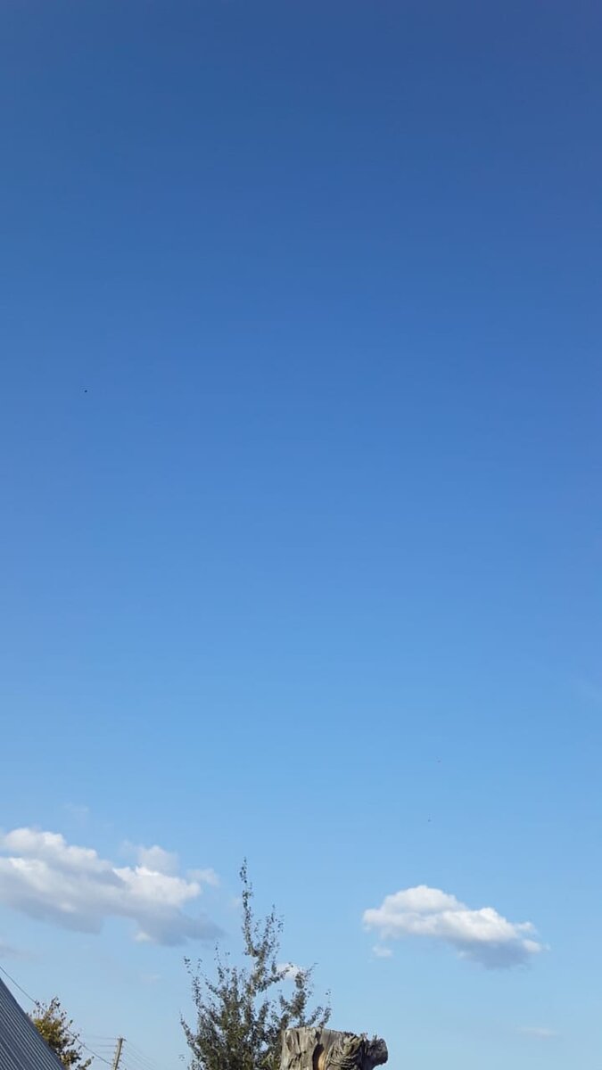 Сказочная синева!