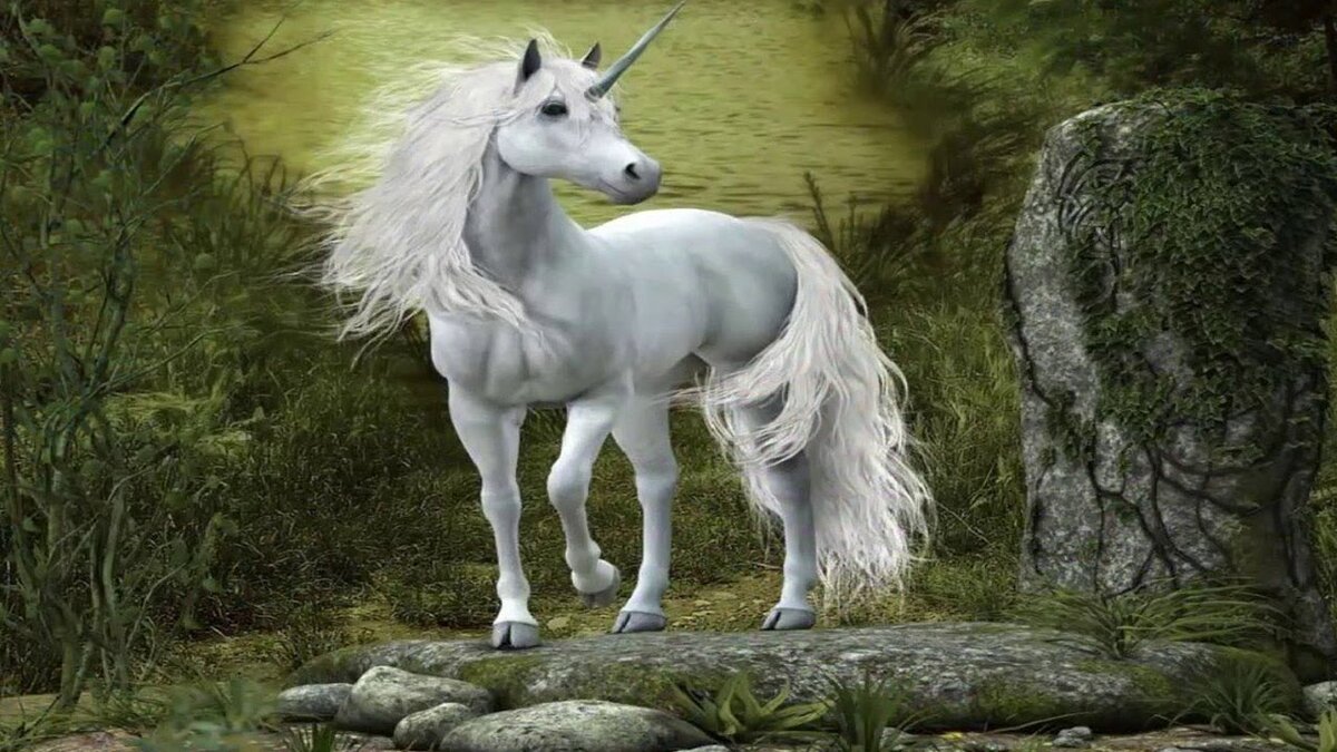 Сказочные лошади. Сказочный конь. Красивые Единороги. Самые красивые Единороги. Первый единорог