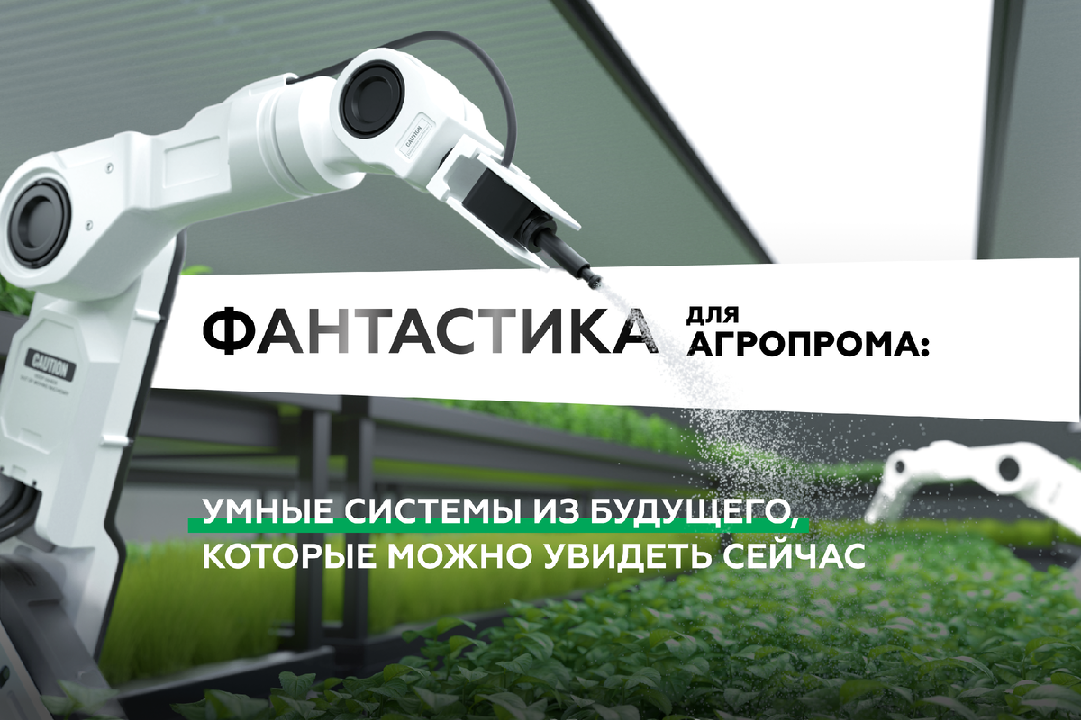 А вы знаете, какое будущее ждет сельское хозяйство в РФ?
