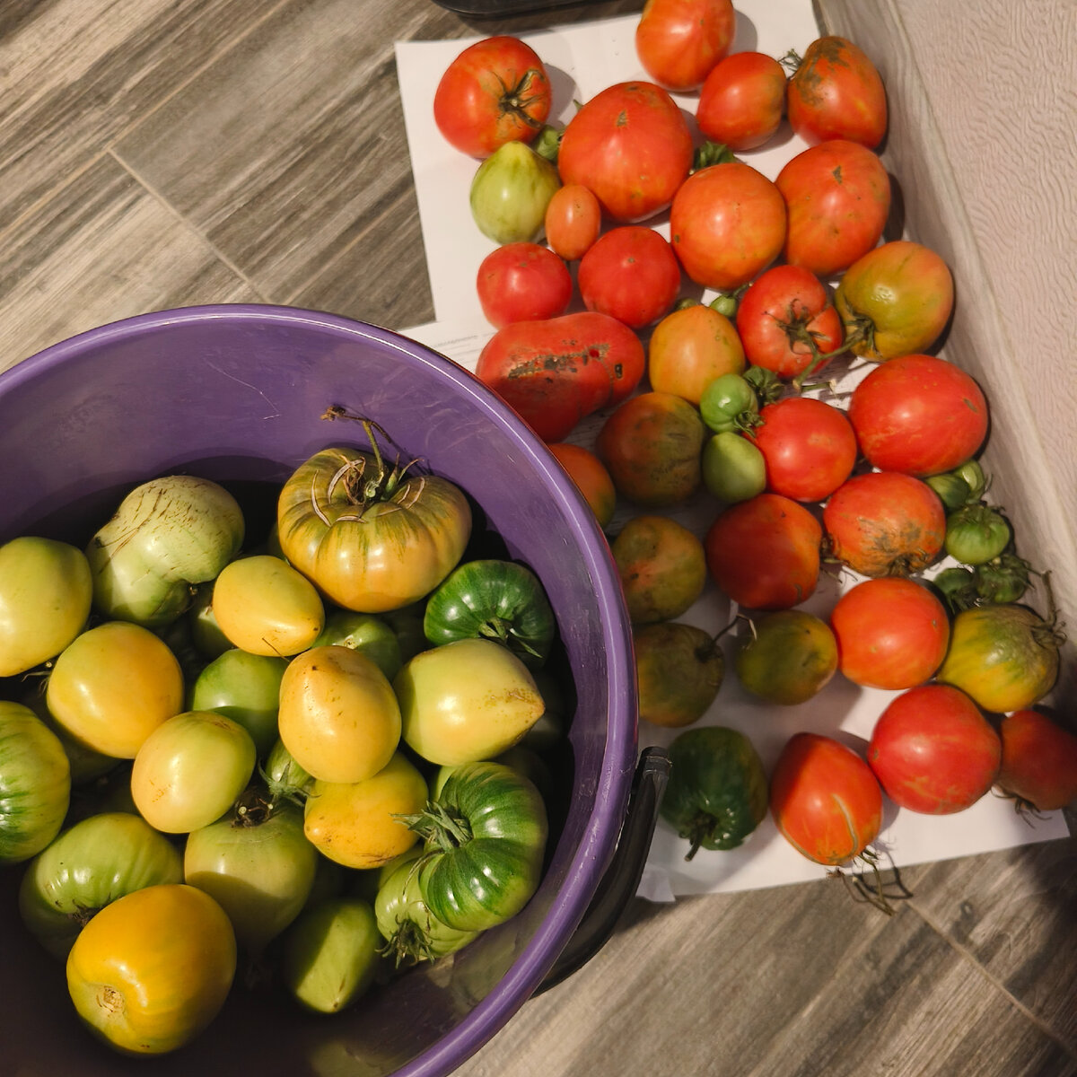 Фото автора.