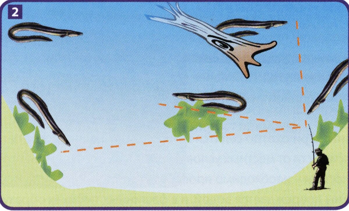 Ловля угря. Снасть на угря. Ловля угря на перемет. Ловля угря на кружки.