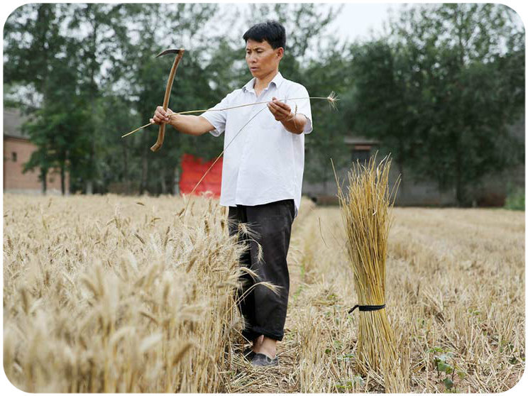 Го Шуньлин готовит материал для своего творчества. Фото: http://www.chinadaily.com.cn