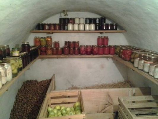 Preserving the Harvest: How Underground Cellars Extend Food Freshness
