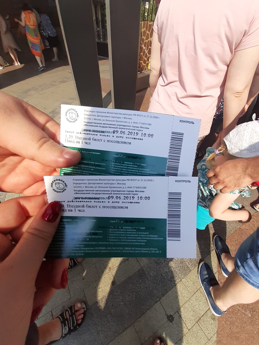 Электронные билеты обменяли в кассе на бумажные