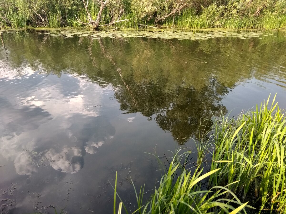 Великолепный водоем)