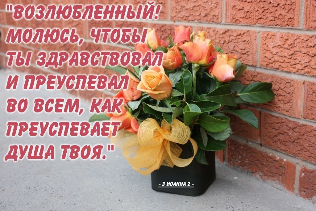 Возлюбленный , я молюсь, чтобы ты здравствовал и преуспевал. Преуспевающая душа. Твердого духом ты хранишь в совершенном мире ибо на тебя уповает он. Преуспевающая душа. Возлюбленный , я молюсь, чтобы ты здравствовал и преуспевал.