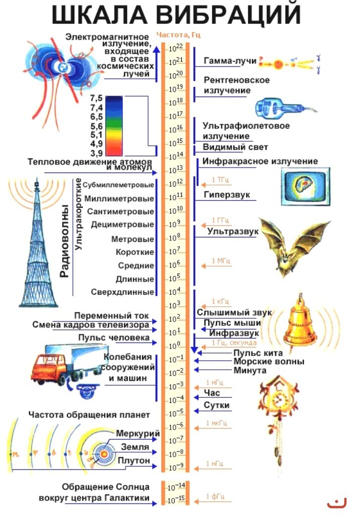 Схема вибраций человека