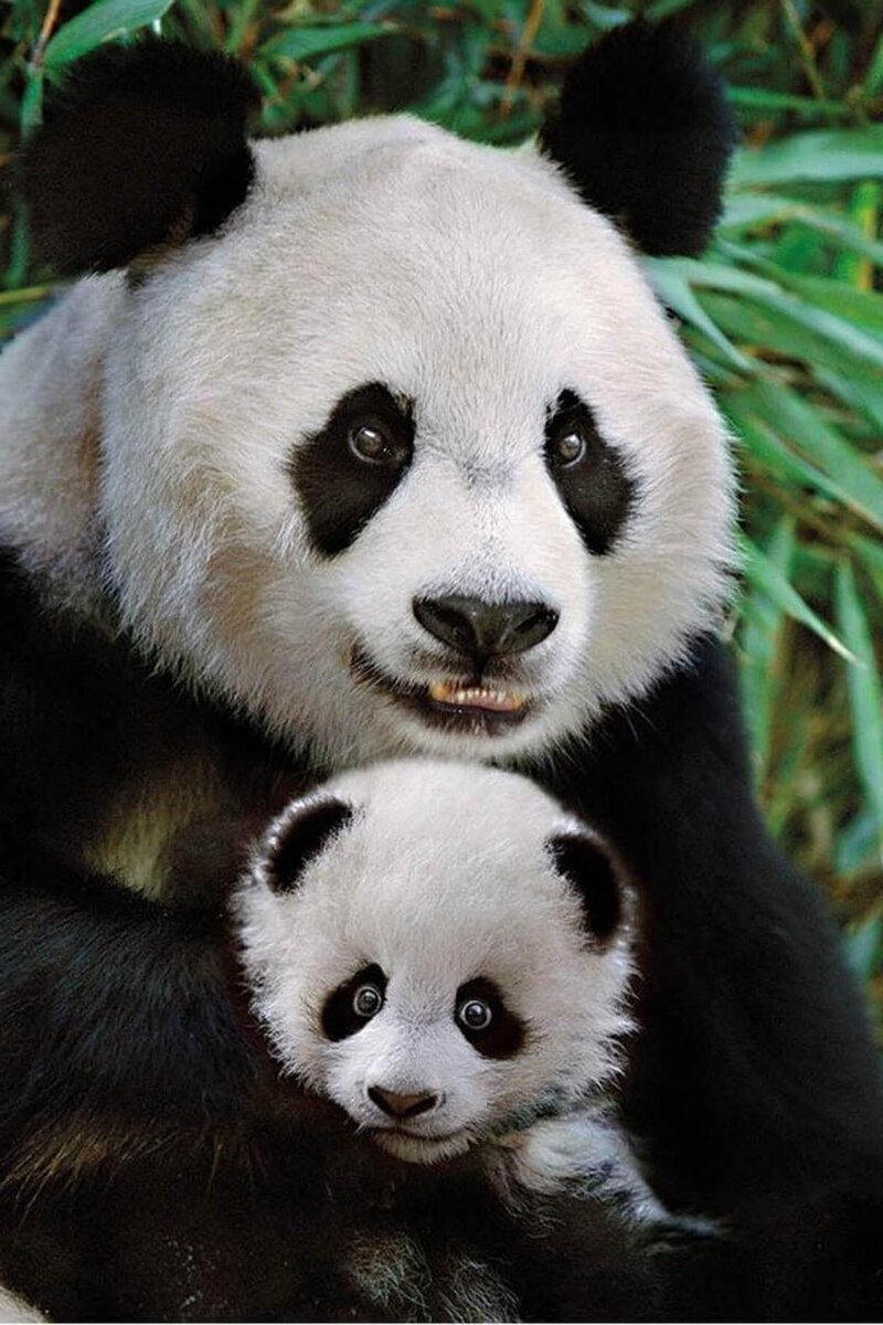 Секрет живой воды разгадан.